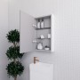 Matte White 450 Shaving Cabinet